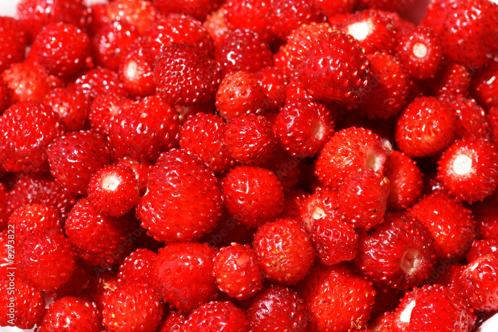 walderbeeren walderbeeren
