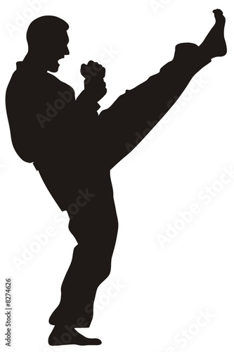 Martial art photo