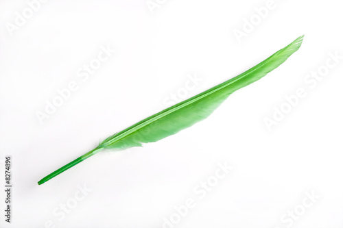 green feather