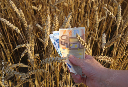 Wheat and money