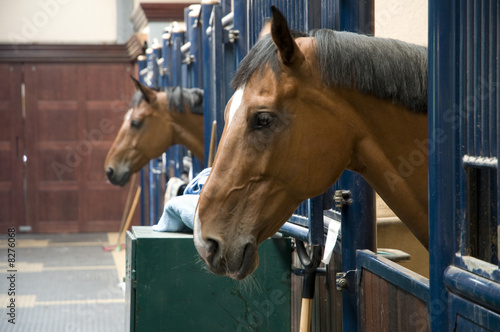 Two horses with the head outside of the stable