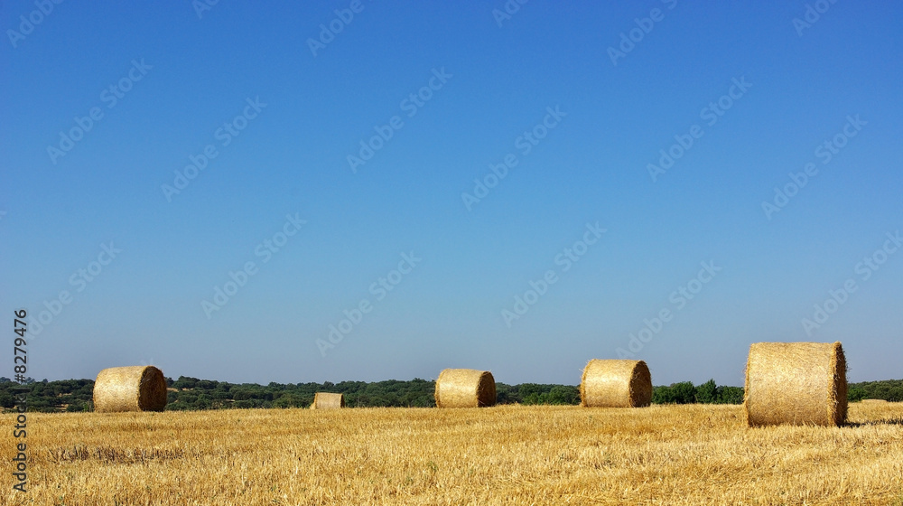 Hay bayle in the field of Alentejo region,  Portugal.