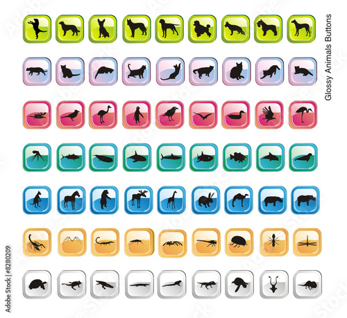 botones de animales en vector