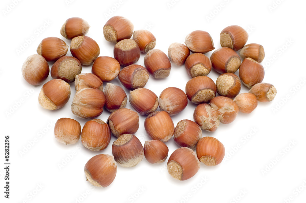 hazel nut macro hazel nut macro