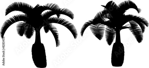 2 vector tropical  plant