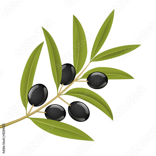 Olives noires