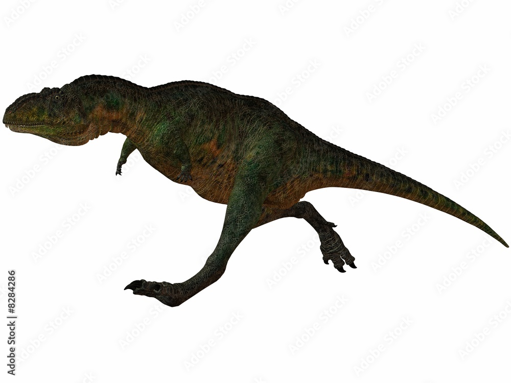 Fototapeta premium Aucasaurus-3D Dinosaurier