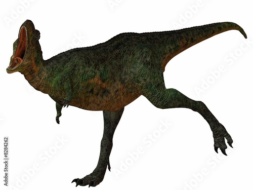 Aucasaurus-3D Dinosaurier