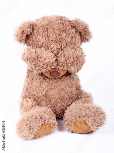 Sad little bear
