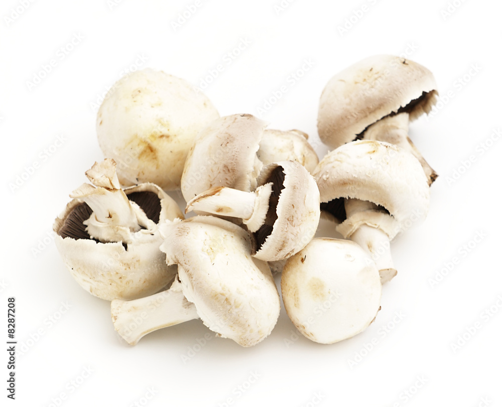 heap of mushrooms heap of mushrooms