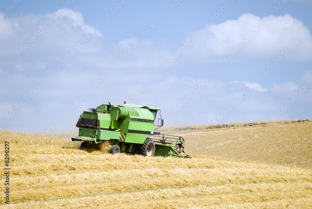 Fototapeta premium Moissoneuse