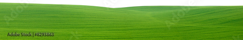 Green field panorama cutout