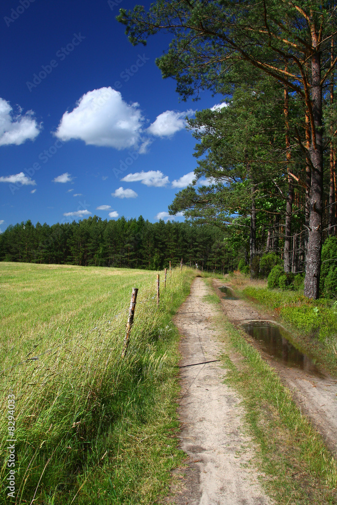 picturesque country road and field