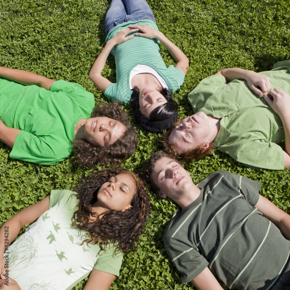 Fototapeta premium Five teens in lie in the grass