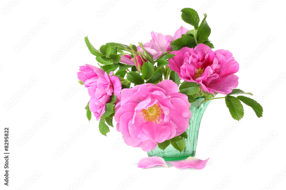 Rugosa Rose Bouquet