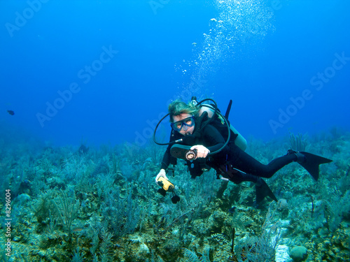 Scuba Diver Checking Gauges