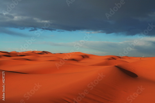 Fototapeta Naklejka Na Ścianę i Meble -  Desert