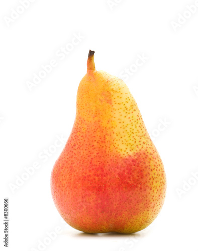 one pear on white background