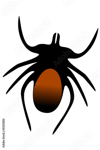 Tick