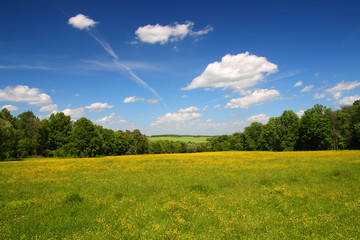 Fotobehang Zomer Zomerlandschap met groene velden  © Kokhanchikov