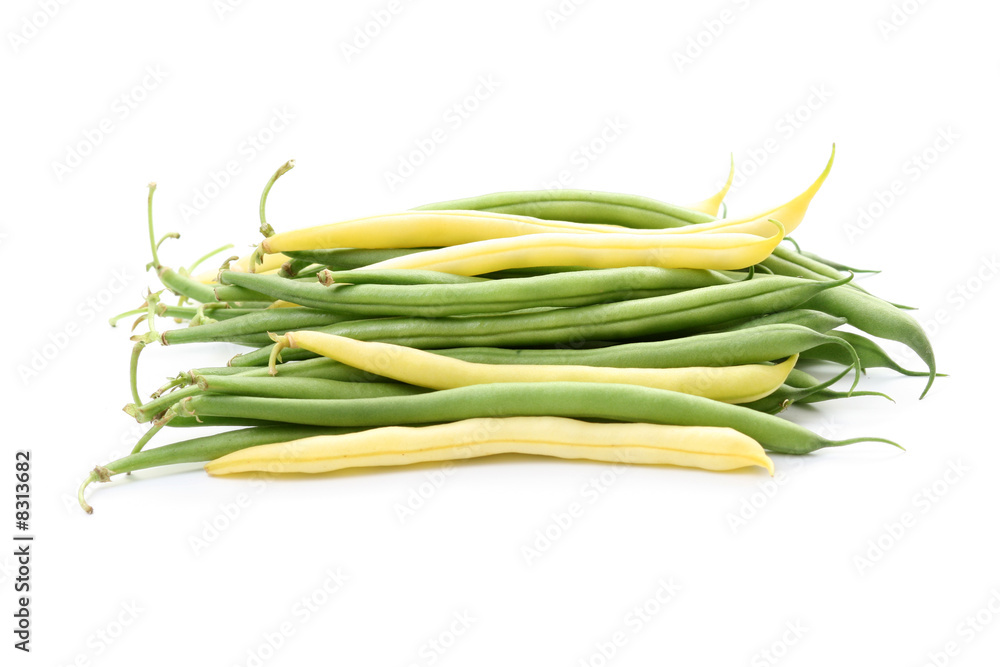 Fototapeta premium french bean