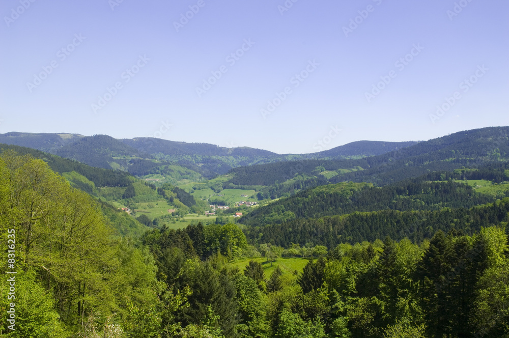 Obraz premium Schwarzwald