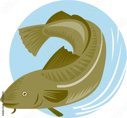 Cod fish