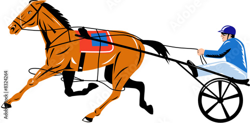 Harness racing