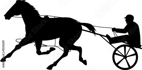 Harness racing