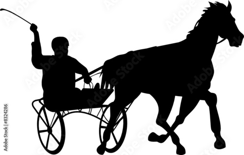 Harness racing