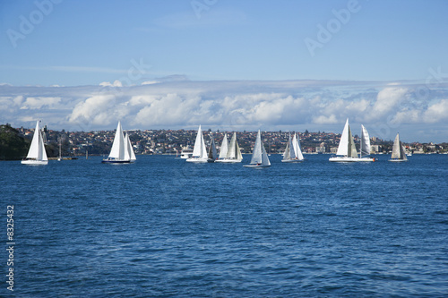 Sailboats, Sydney, Australia.