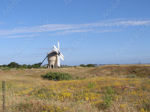 Moulin à vent en Bretagne © marité74