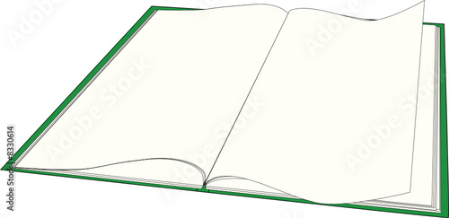 Libro Verde