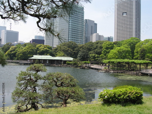 contraste japonais