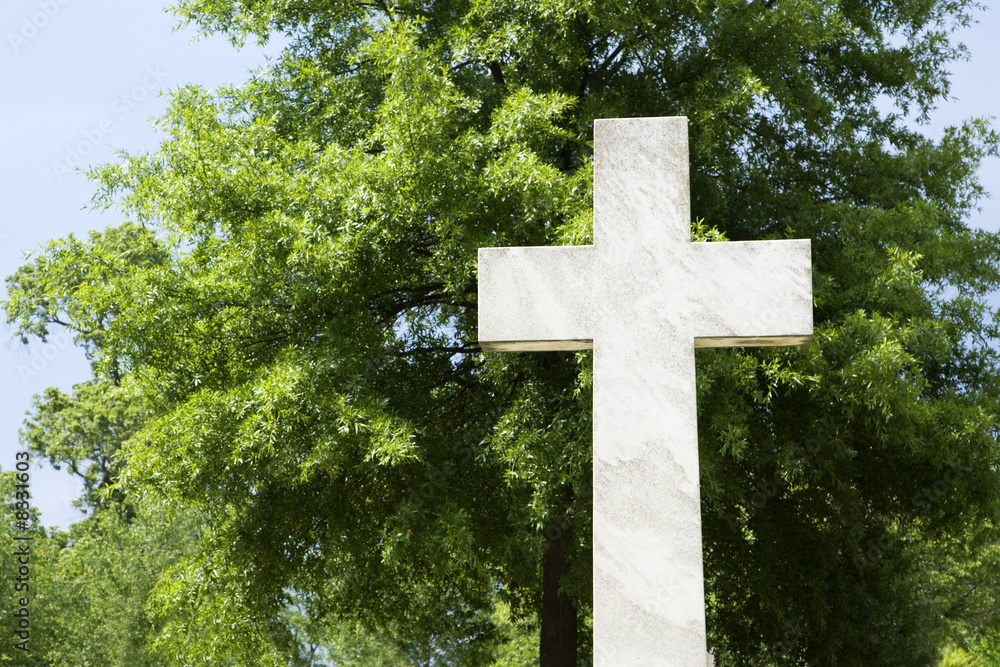 Cross against tree. Cross against tree.
