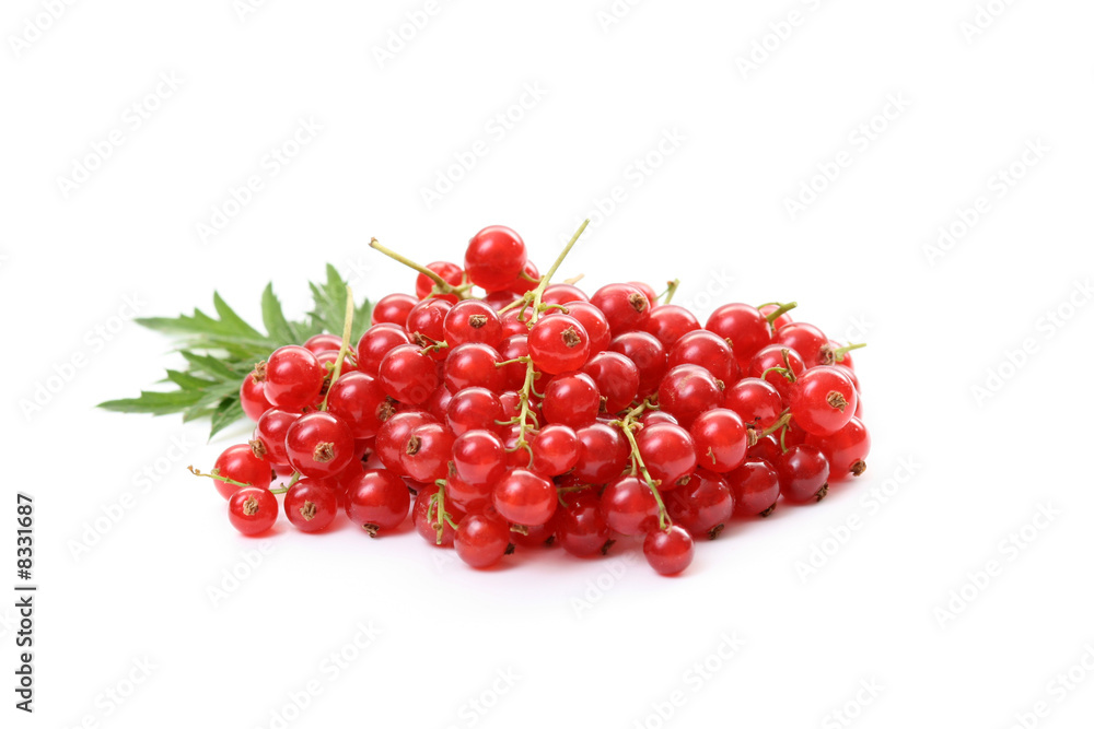 redcurrants redcurrants