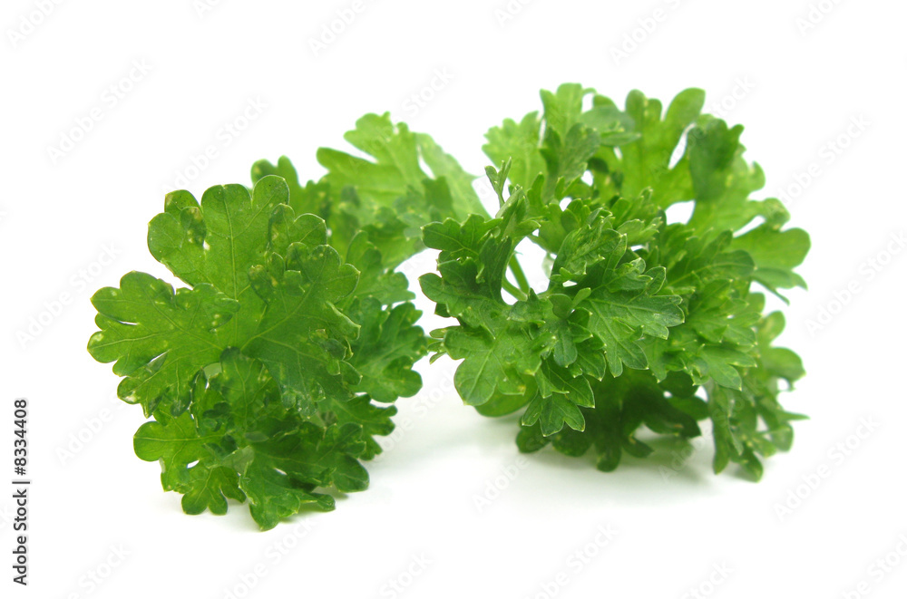 Parsley fresh leaves isolated on white background Parsley fresh leaves isolated on white background