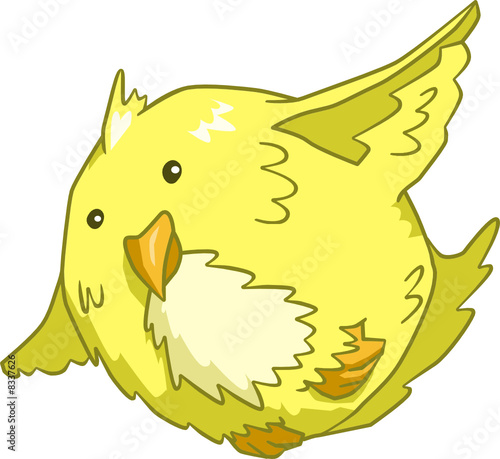 Fat canary