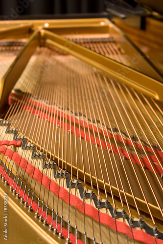 Grand Piano Strings