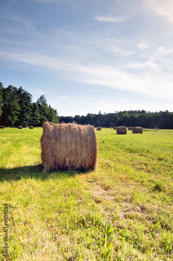 Bales of hay