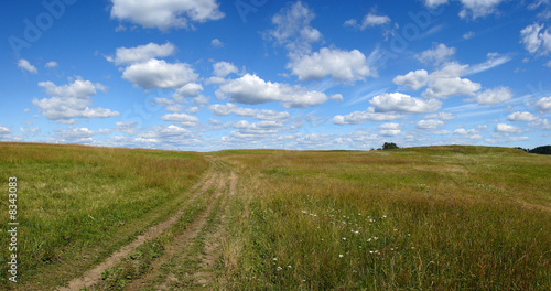 Road in field