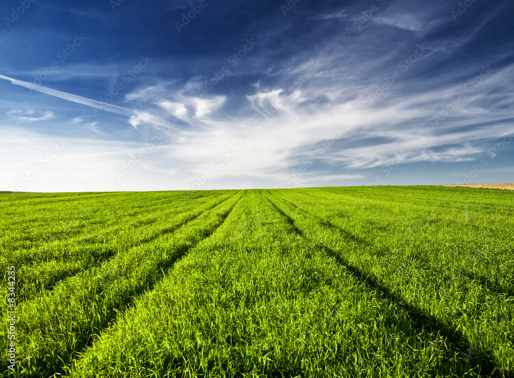 Green field Green field