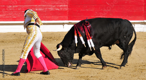 Matador Leading Bull