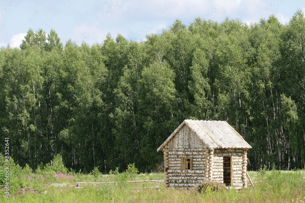 Obraz premium Birch small house