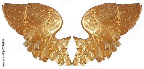 isolated pair of aureate angel wings