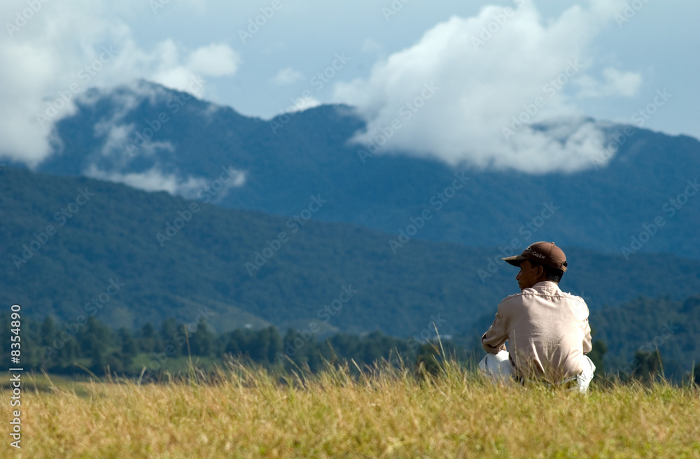 Fototapeta premium Alone on the hill