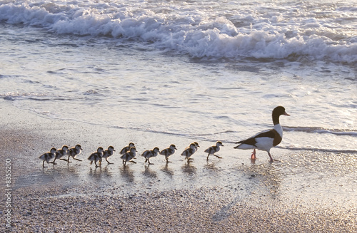 Famille nombreuse