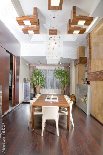modern interior in big house