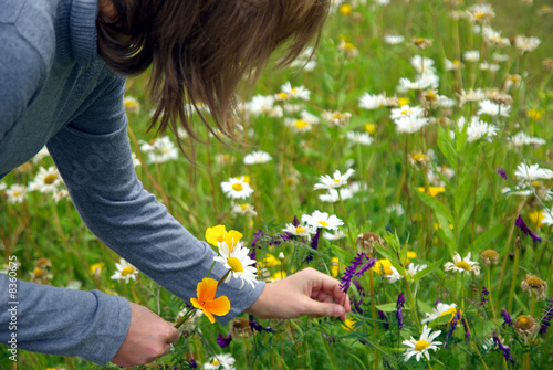 Lady picking flowers