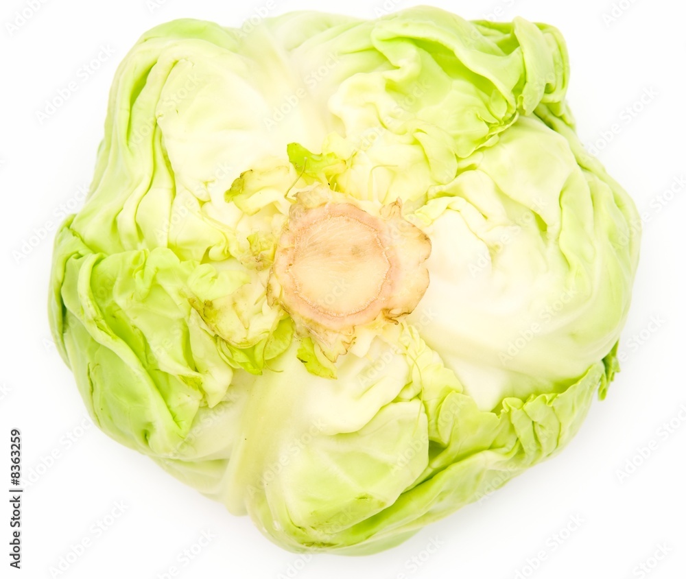 heads of cabbage heads of cabbage